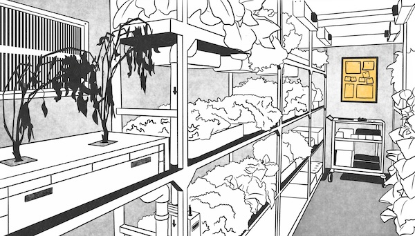 Still from interactive story