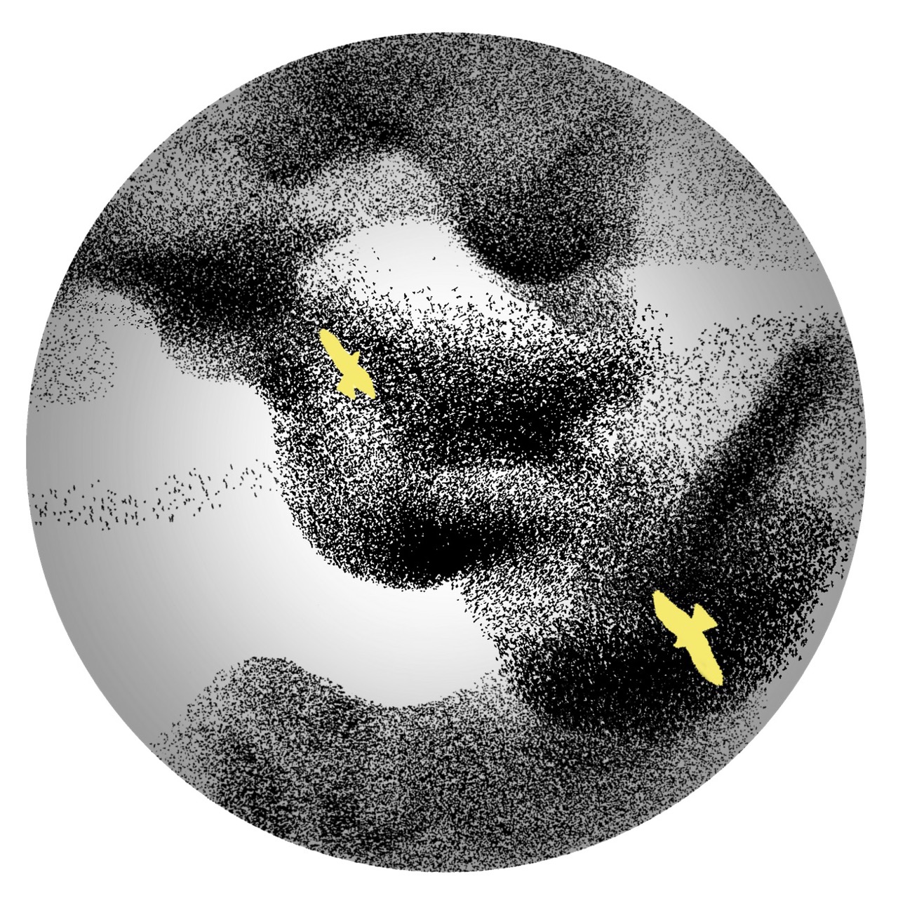 Watch face made up of birds